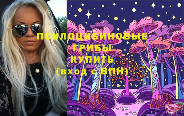 индика Верхнеуральск