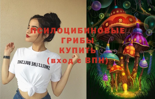 мдпв Вязники