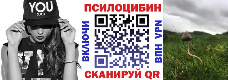 Купить  Междуреченск  Галлюциногенные грибы прущие грибы 