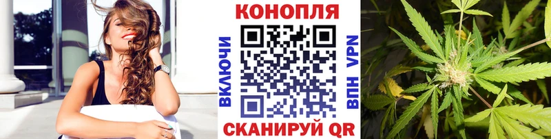 Бошки Шишки THC 21%  Купить закладки  Междуреченск 